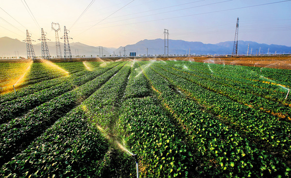 我國農業綠色發展水平持續向好